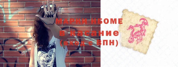 прущие грибы Вязники