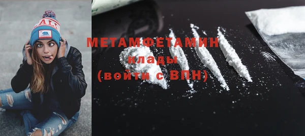 прущие грибы Вязники