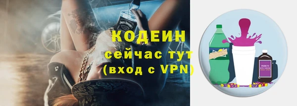прущие грибы Вязники