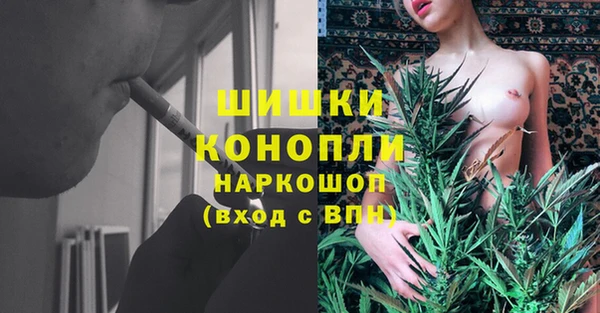 прущие грибы Вязники