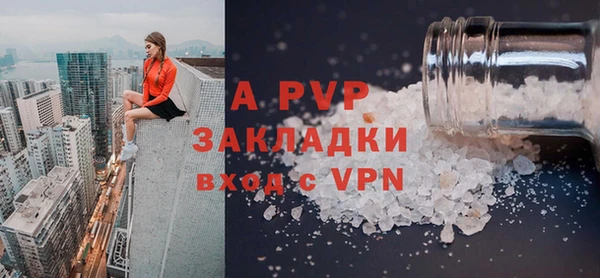 прущие грибы Вязники