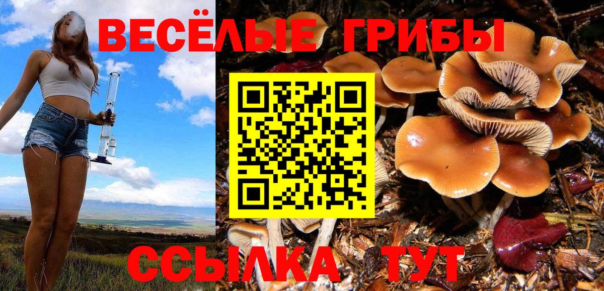 Псилоцибиновые грибы мухоморы Мценск