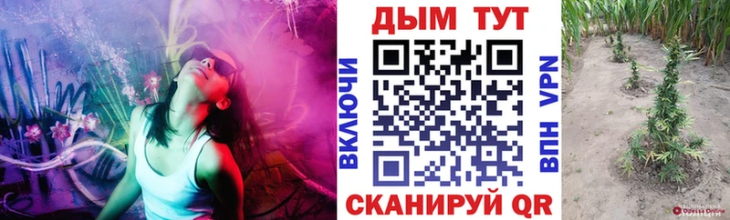 Бошки Шишки White Widow  где купить наркоту  Мценск 